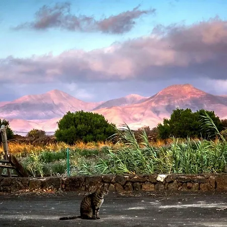 Tamarindos Lägenhet Puerto del Carmen (Lanzarote)