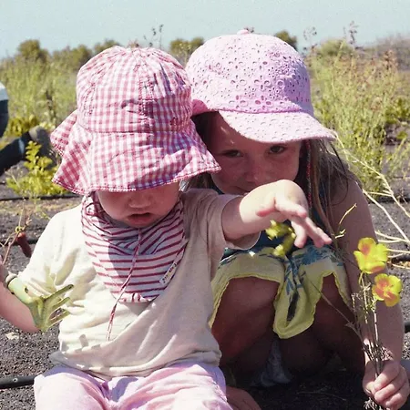 Tamarindos Lägenhet