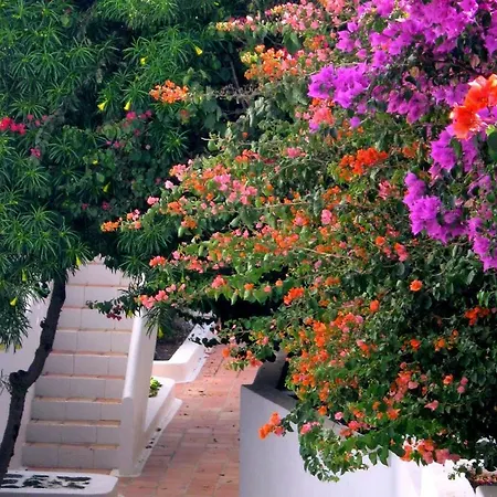 Tamarindos Πουέρτο Ντελ Κάρμεν