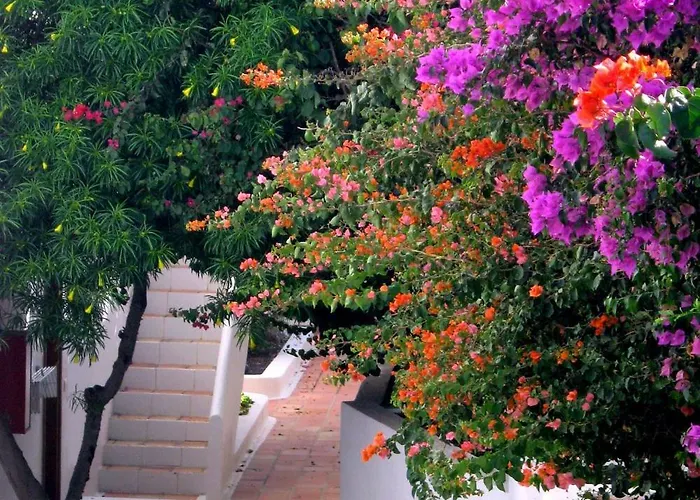 Tamarindos Puerto del Carmen