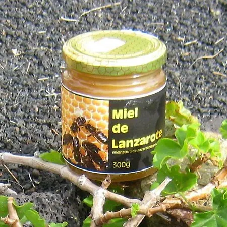 Tamarindos Lejlighed