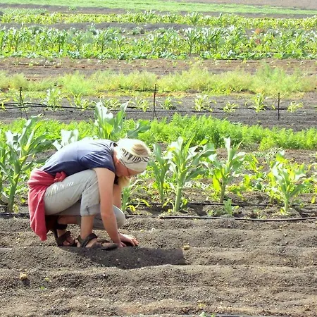 Tamarindos Apartment
