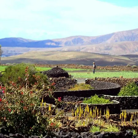 Tamarindos Apartment Puerto del Carmen (Lanzarote)
