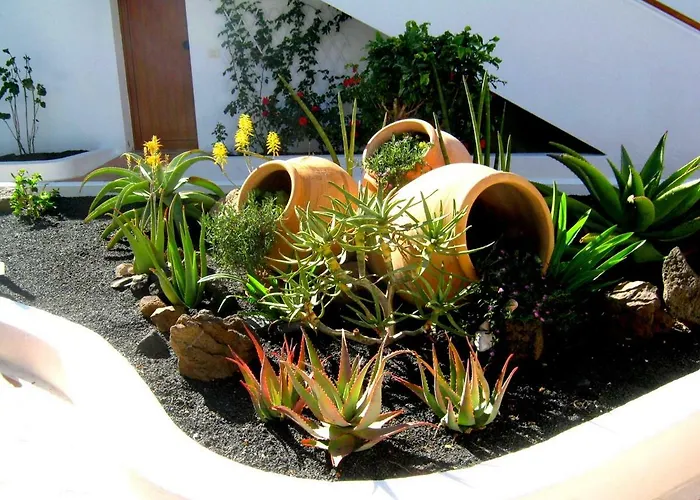 Tamarindos بويرتو ذيل كارمين