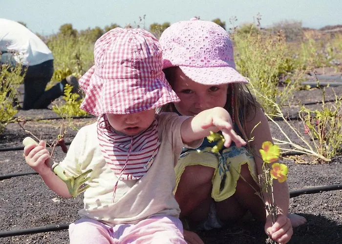 Tamarindos Apartment