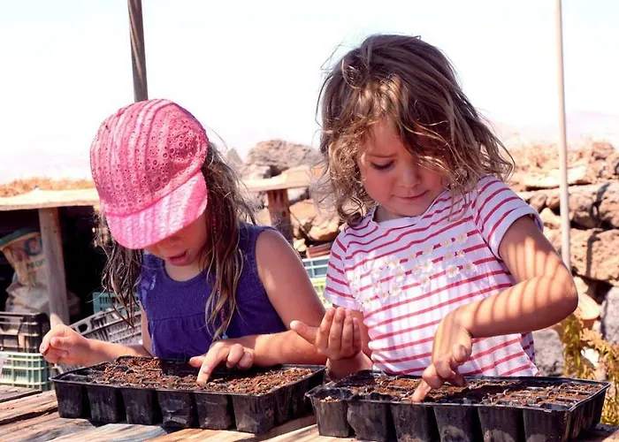 Apartamento Tamarindos *