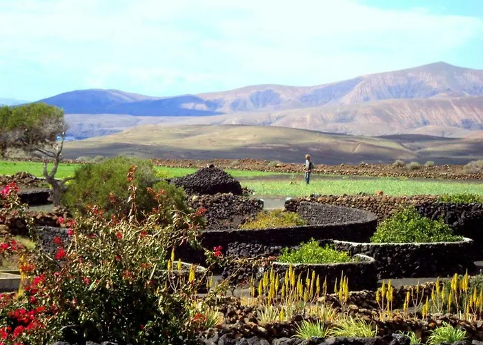 Tamarindos Apartment Puerto del Carmen (Lanzarote)