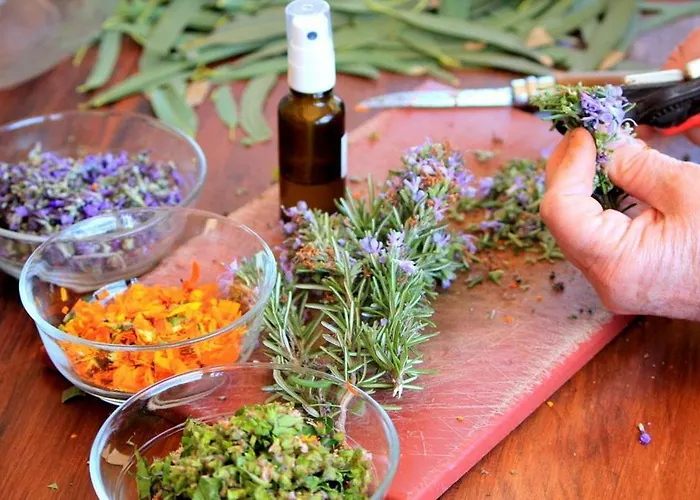 Tamarindos Apartment Puerto del Carmen (Lanzarote)