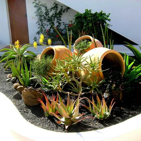 Tamarindos 푸에르토 델 카르멘