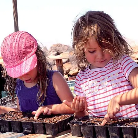 아파트 Tamarindos *