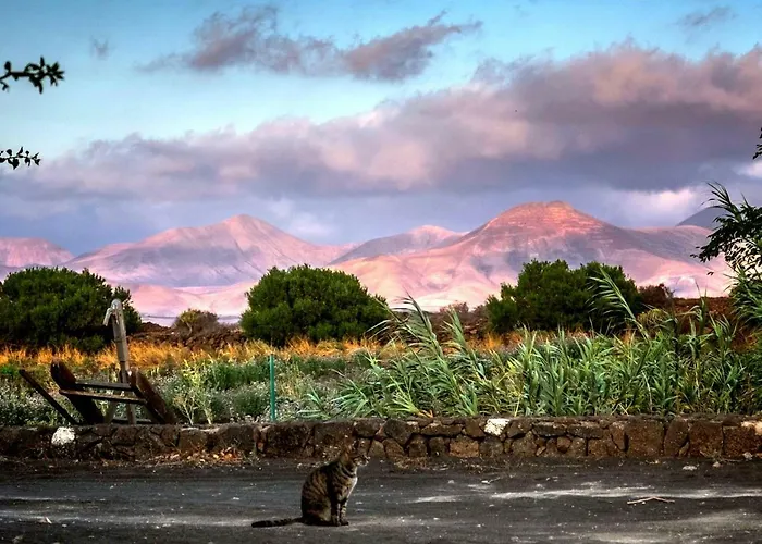 Tamarindos Lejlighed Puerto del Carmen (Lanzarote)