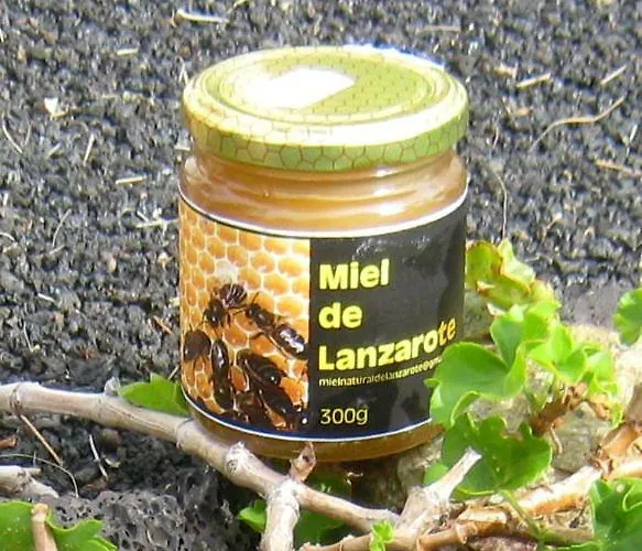 Tamarindos Lejlighed